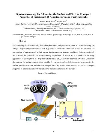 ACS Nano, accepted, 2008. - Physics - Southern Illinois University