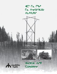 Oji-Cree updated 1995, 65 pages - Manitoba Hydro