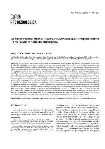 An Ultrastructural Study of Nosema locustae Canning (Microsporidia ...