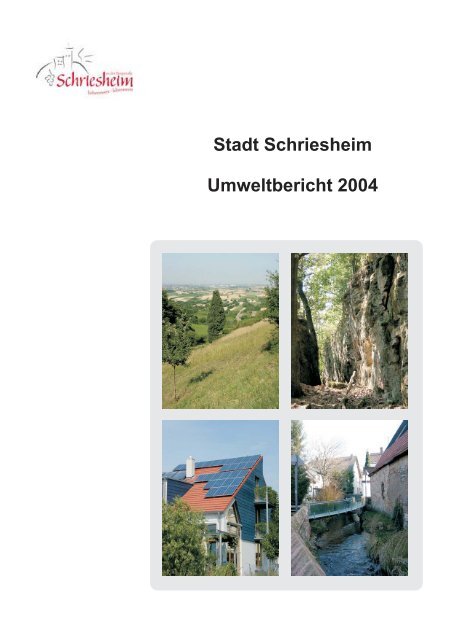 Stadt Schriesheim Umweltbericht 2004