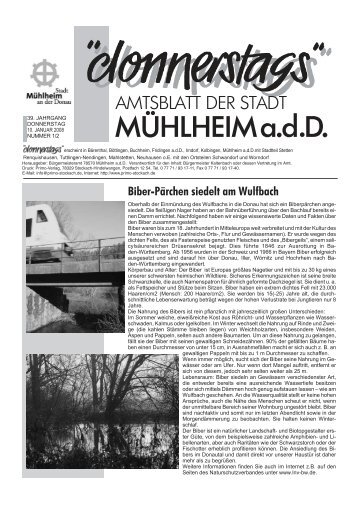 Biber-Pärchen siedelt am Wulfbach - Mühlheim an der Donau