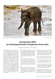 Jahresbericht 2009 der Aktiengesellschaft ... - Kölner Zoo