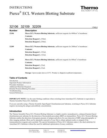 Pierce ECL Western Blotting Substrate