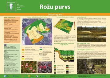 Rožu purvs - Augstie purvi