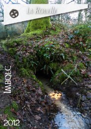 Rouelle imbolc 2012 - Assemblée Druidique du Chêne et du Sanglier