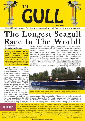 The Gull No.1_Seagull News - Saving Old Seagulls