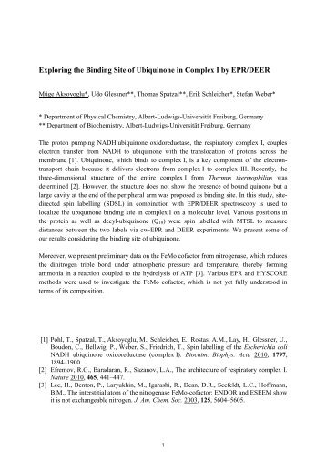 Exploring the Binding Site of Ubiquinone in Complex I by EPR/DEER