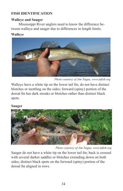 DNR Fishing Regulations 2012 - Marshall County