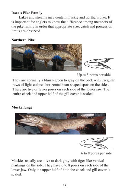 DNR Fishing Regulations 2012 - Marshall County