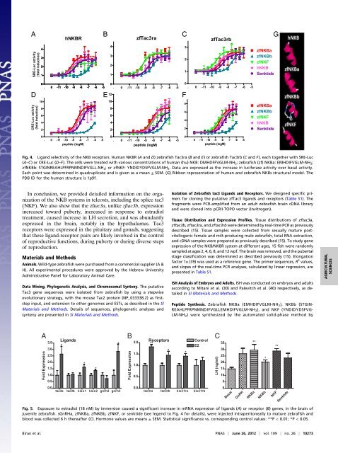 Neurokinin Bs and neurokinin B receptors in zebrafish- potential role ...