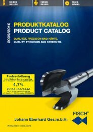 Katalog 2009-2010_WEB.pdf - Fisch-Tools