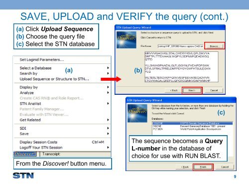 Multifile Patent Sequence Searching on STN - STN International