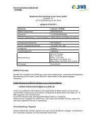 Kommunikationsdaten Strom (Lieferant) (pdf, 100 kB) - Stadtwerke ...