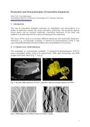 Production and Characterization of Insensitive Explosives