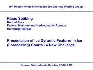 Klaus Strübing Presentation of Ice Dynamic Features in Ice