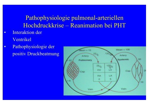 Pathophysiologie und Hämodynamik bei pulmonaler Hypertonie + ...