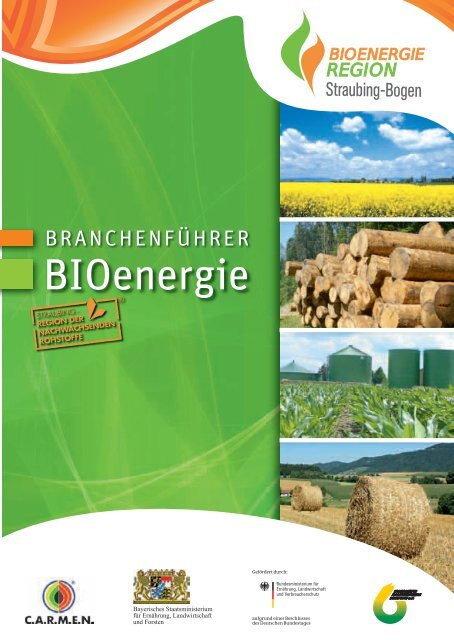 Branchenführer als PDF-Datei - Bioenergie-Region Straubing ...