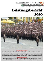 wehrsanität im Berichtsjahr 2010 - Bereichsfeuerwehrverband Bruck ...