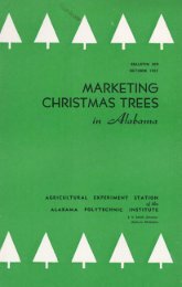 MARKETING CHRISTMAS TREES - Auburn University Repository