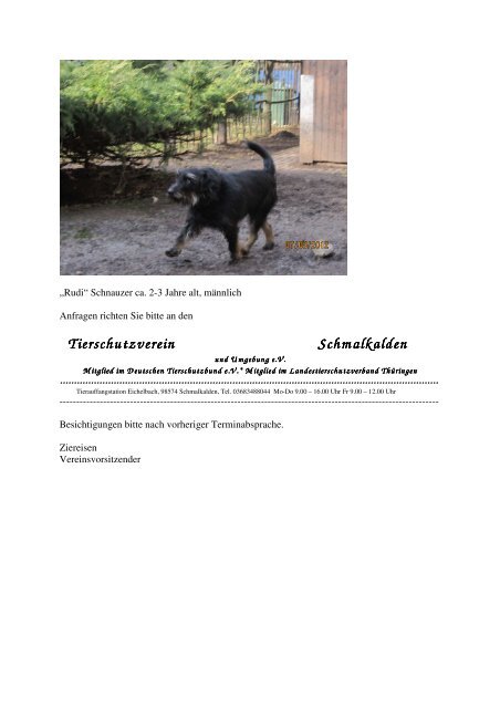 Tierschutzverein Tierschutzverein Schmalkalden Schmalkalden