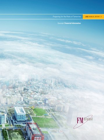 2008 FM Global Annual Report: Financial Information