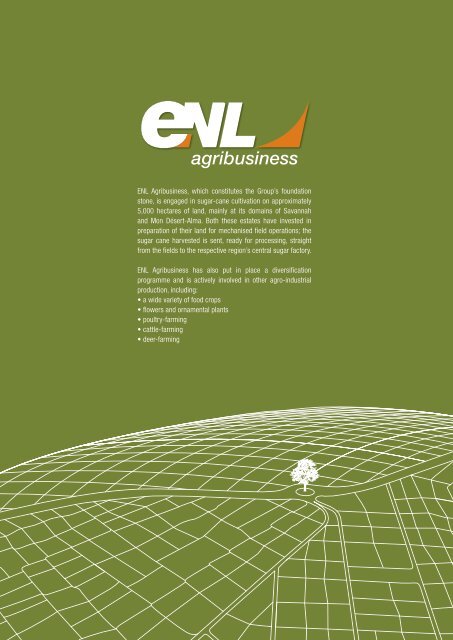 ENL Agribusiness, which constitutes the Group's foundation stone, is ...