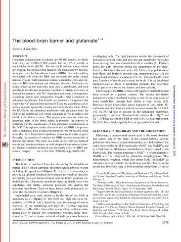 The blood-brain barrier and glutamate - American Journal of Clinical ...