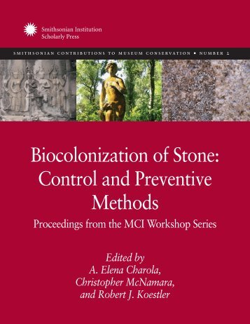 Biocolonization of Stone: Control and Preventive Methods ...