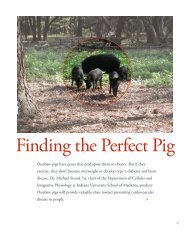 Finding the Perfect Pig - Augustana College