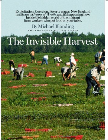 The Invisible Harvest - Blanding, Michael