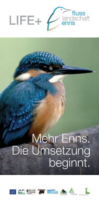 Mehr Enns. Die Umsetzung beginnt. - LIFE Enns Fluss Landschaft ...