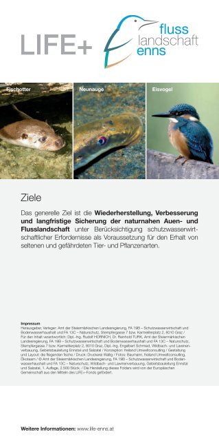 Mehr Enns. Die Umsetzung beginnt. - LIFE Enns Fluss Landschaft ...