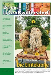 Oktober 2008 / Nr. 95 (2,38 MB) - Großwilfersdorf