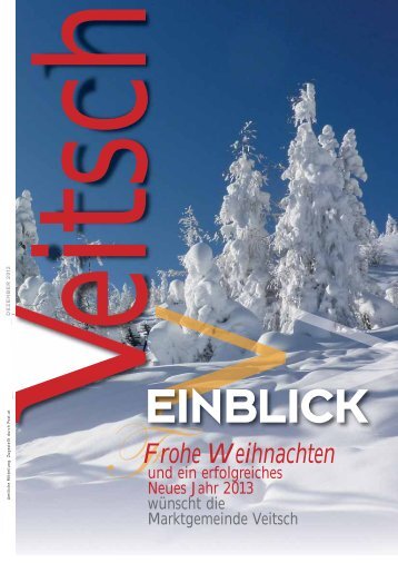 Veitsch Einblick 11-12 Web1.pdf