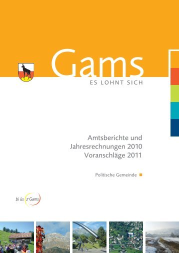 Amtsberichte und Jahresrechnungen 2010 ... - Gemeinde Gams