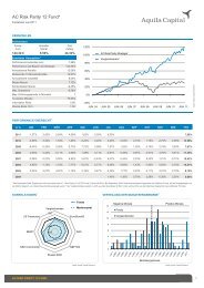 AC Risk Parity 12 Fund* - FONDS professionell