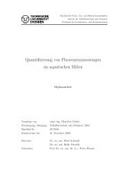 Quantifizierung von Fluoreszenzmessungen im ... - Wasser-Wissen