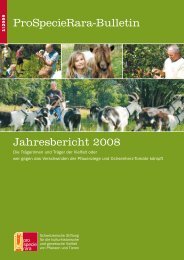 Jahresbericht 2008/2009 - ProSpecieRara