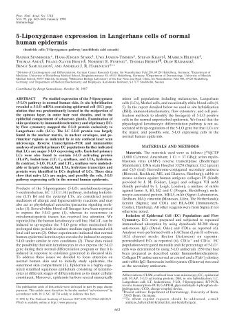 5-Lipoxygenase expression in Langerhans cells of normal human ...