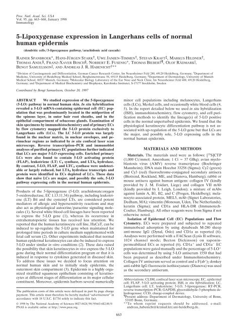 5-Lipoxygenase expression in Langerhans cells of normal human ...