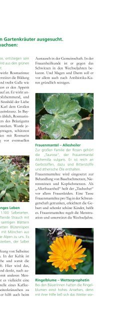 Aktuelle Ausgabe - RiQ DAS MAGAZIN