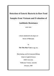 Detection of Enteric Bacteria in Raw Food Samples from Vietnam ...