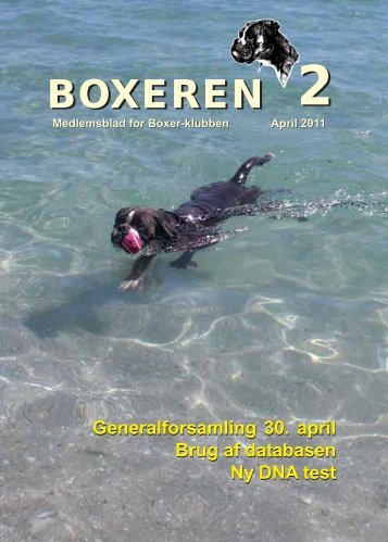 Boxeren 2-2011 - Boxerklubben