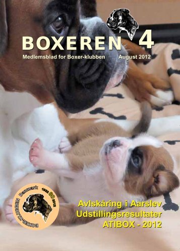 Boxeren 4-2012