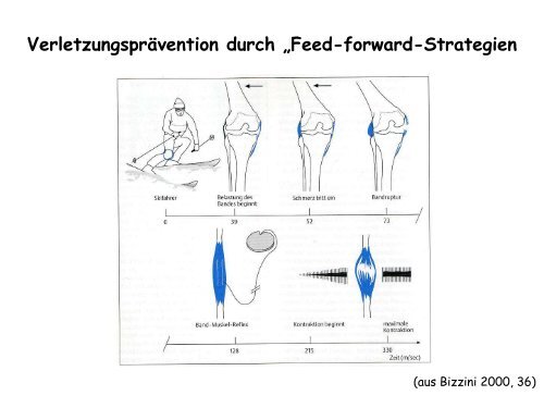 Muskelaufbautraining nach Sportverletzungen