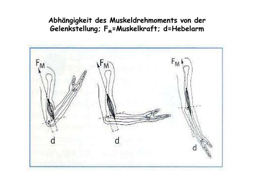 Muskelaufbautraining nach Sportverletzungen