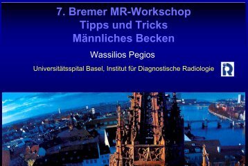 7. Bremer MR-Workschop Tipps und Tricks Männliches Becken