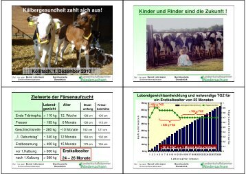 Krankheitskosten Kaelber Vortrag Koellitsch 1-12-10