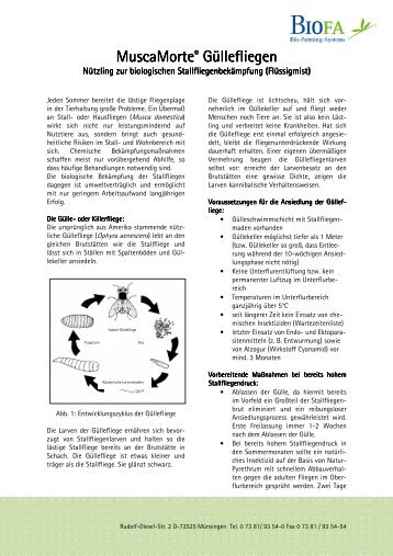 MuscaMorte Güllefliegen - BIOFA