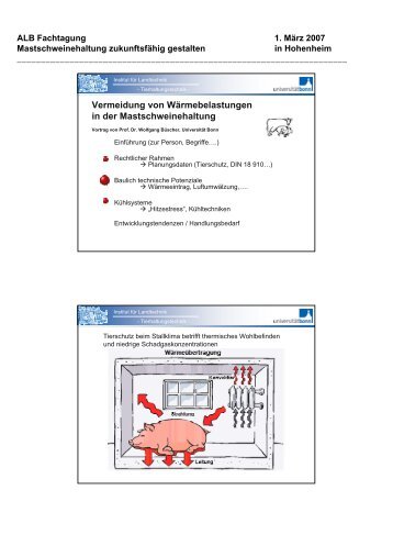 Vermeidung von Wärmebelastungen in der Mastschweinehaltung